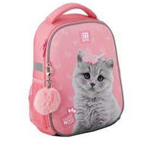 РюкзакШкольный1