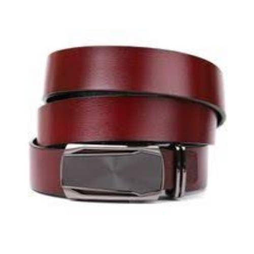 мРемниБрючныеКожезаменитель1