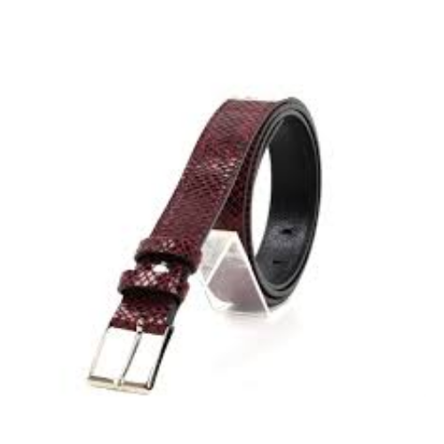 жРемниБрючные3